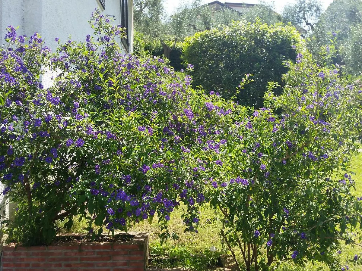 Villa Casa Vittoria Corsanico-Bargecchia 0*,