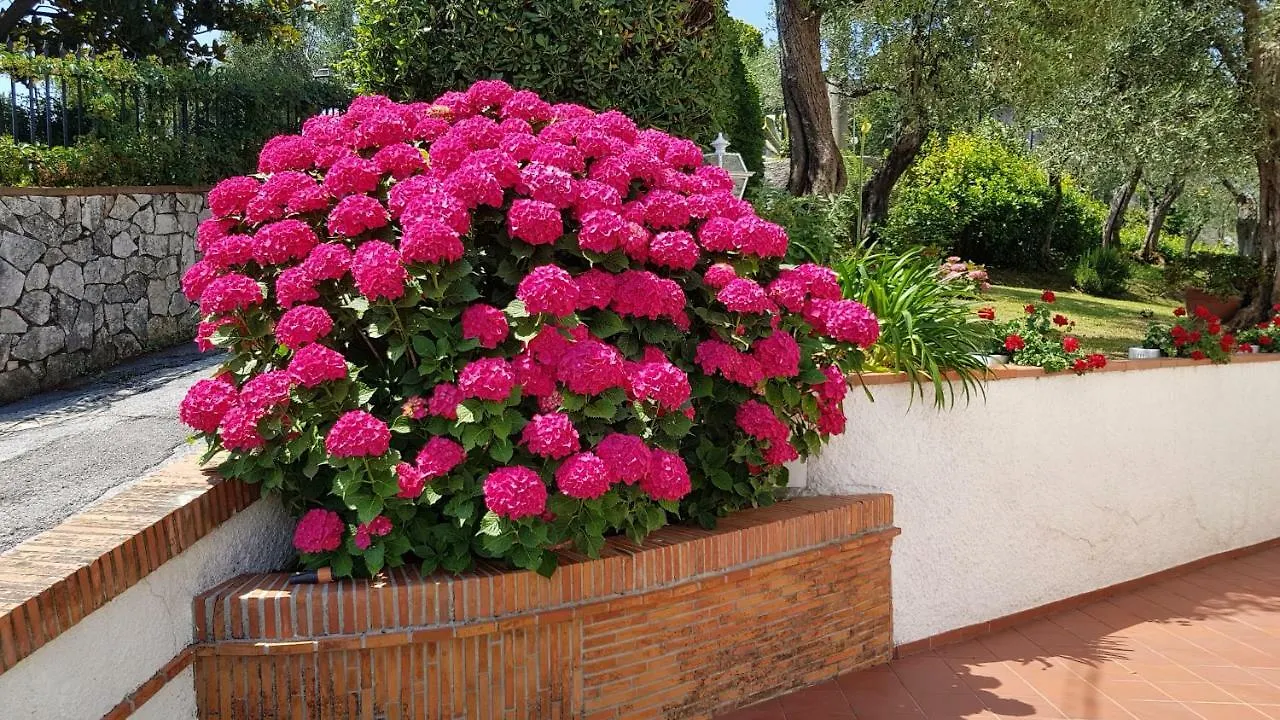 Villa Casa Vittoria Corsanico-Bargecchia 0*,  Italia