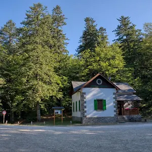 La Casa Di Gloria - Affitta Badia Prataglia